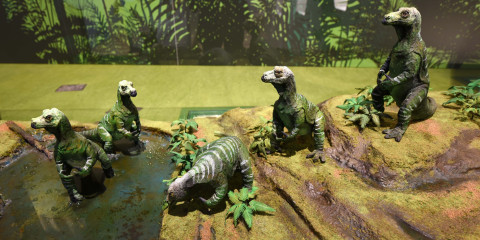 Een diorama met dino's in de nieuwe tentoonstelling over dino's