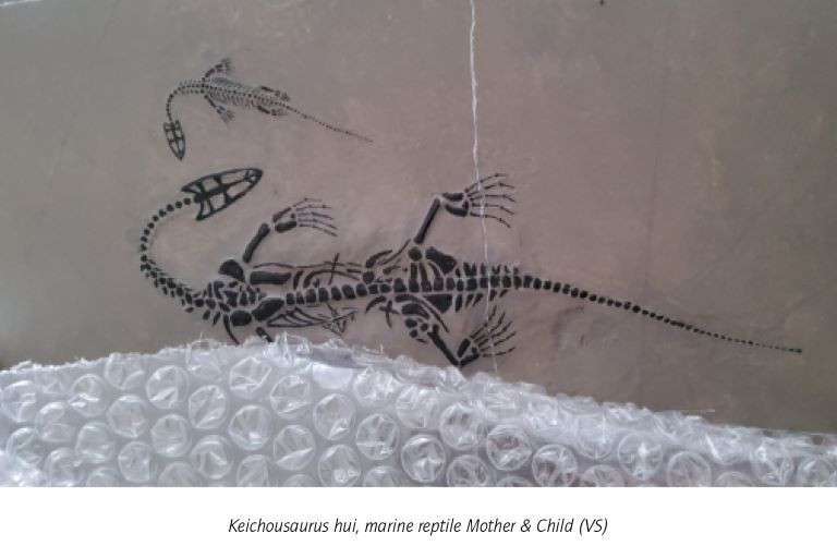 keichosaurus