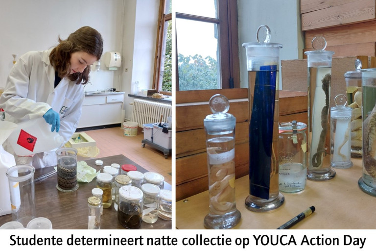 Studente helpt bij determineren van de natte collectie op YOUCA Action Day